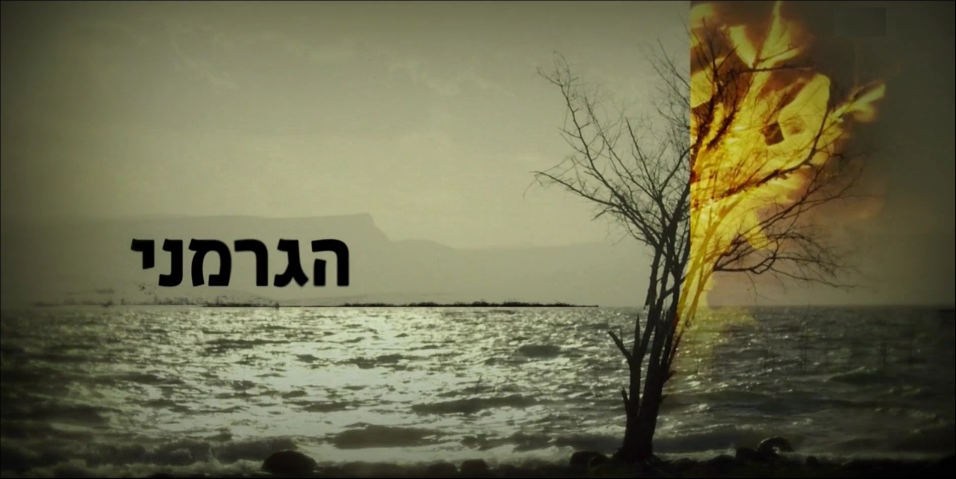 הגרמני