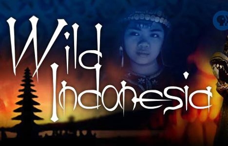 אינדונזיה הפראית - יערות קסומים Wild Indonesia - Magical Forests - 
