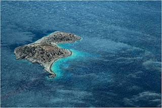 סרט טבע - הבריחה אל האי - 