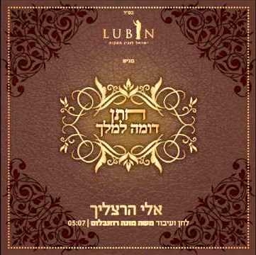 אלי הרצליך - חתן דומה למלך |נוספו שרתים| - 