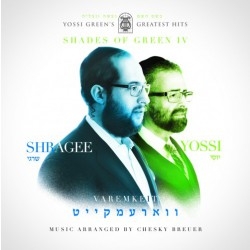 יוסי גרין - ווארעמקייט - גוונים של גרין- 2014 - 