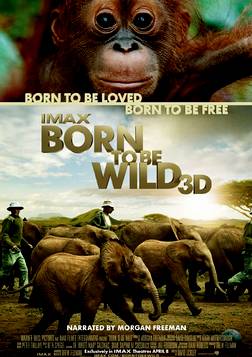 נולד לטבע  סרט טבע  DVDRip - 