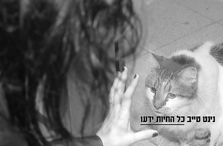 נינט טייב - כל החיות ידעו - 