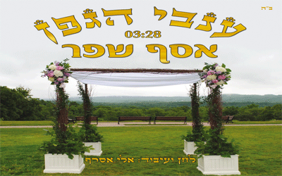 אסף שפר - ענבי הגפן • סינגל - 