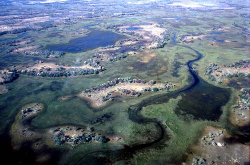 סרט טבע אוקוואנגו -