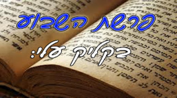 פרשת במדבר - מטעמים לשולחן שבת - 