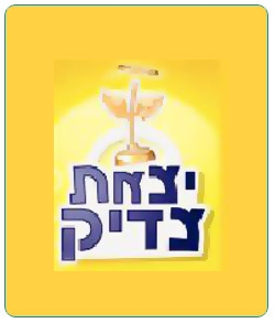 יצאת צדיק - עונה 3, פרק 1 