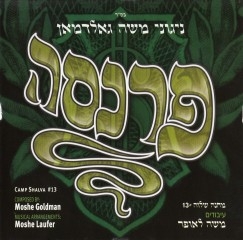 משה גולדמן - פרנסה  - 