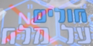 חולים על מלח (2016)