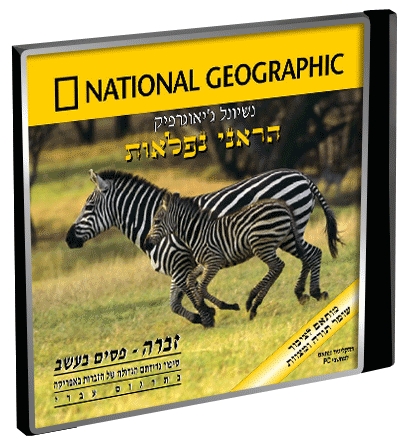 נשיונל גאוגרפיק הראני נפלאות זברה פסים בעשב - 