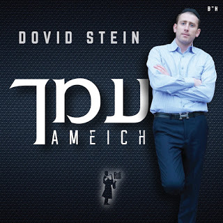דוד שטיין - עמך | Dovid Stein - Ameich סינגל חדש