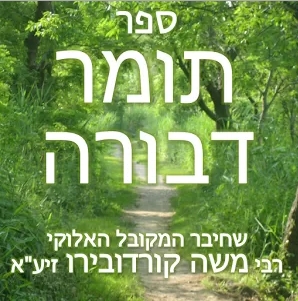אפליקציית תומר דבורה - 