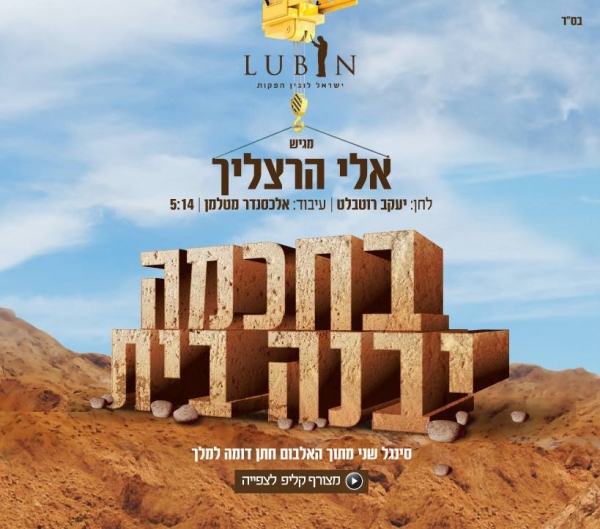 אלי הרצליך - בחכמה יבנה בית סינגל2013 - 