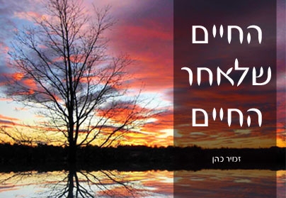 החיים שלאחר החיים - 