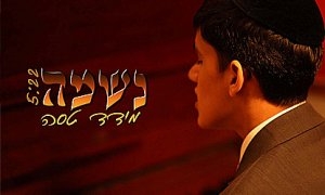 נשמה- מידד טסה - 