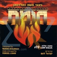 משה-גולדמאן  חומת-האש - 