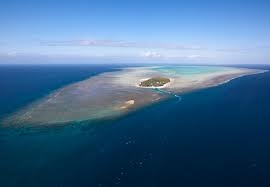 סרט טבע גן עדן באוקינוס השקט  - 