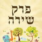 אפליקציית פרק שירה - 