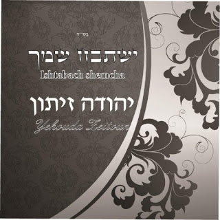 יהודה זיתון - איזו מתנהסינגל - 