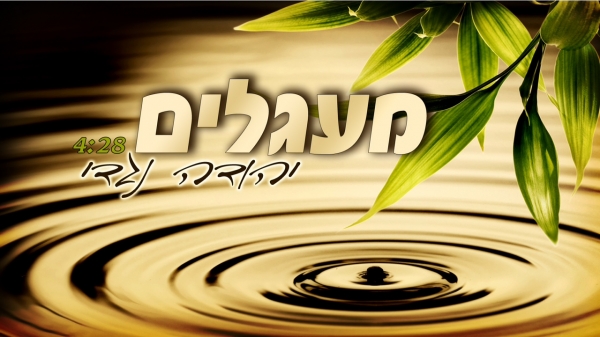 יהודה נגדי - מעגלים - 