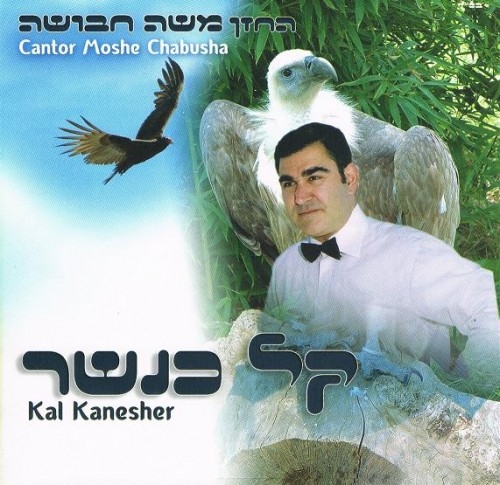 משה חבושה - קל כנשר  - 