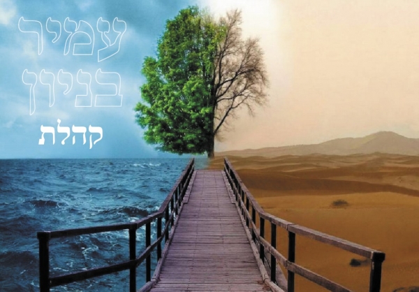 עמיר בניון-קהלת--2013 -