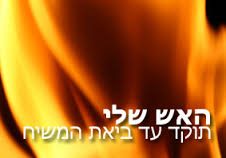 אוסף שירים "האש שלי" - 