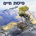 קדוש- משפחת ואך - 