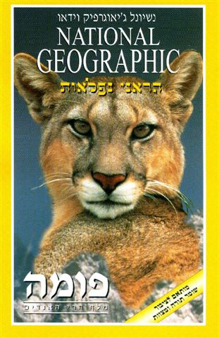 פומה/ מלך הרי האנדים - 