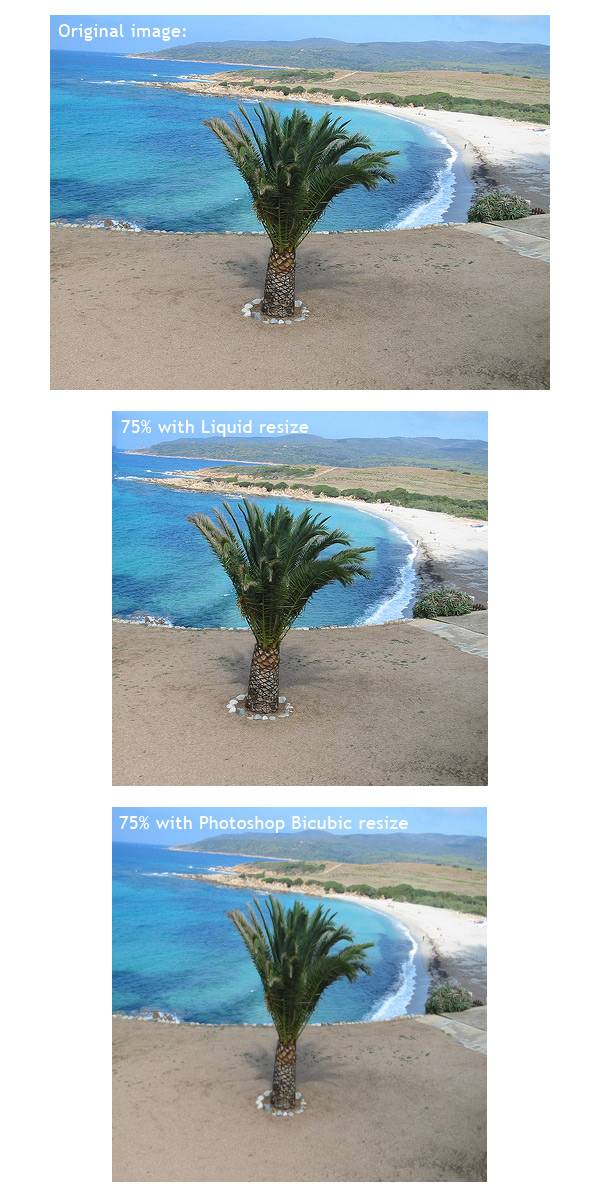 Resize הקטנת תמונות - 