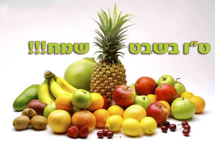 אוסף שירי טו בשבט בלעדי - 