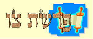 אוסף דרשות לפרשת צו  - 