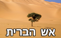 אש הברית- מעלת שמירת הברית בדורנו - 