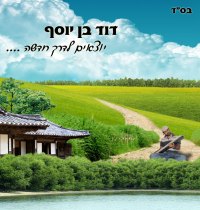 דוד בן יוסף - נקודות טובות -