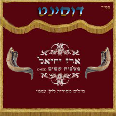 ארז יחיאל – מלכות שמיים 