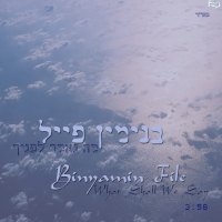 בנימין פייל - מה נאמר לפניך סינגל