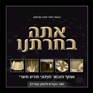 אתה בחרתנו - ניגוני פינסק קרלין (סינגל חדש)