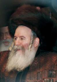 ספיישל באבוב 8 אלבומים מיוחד לאתר - 