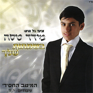 מידד טסה בשמחות שלך  - 