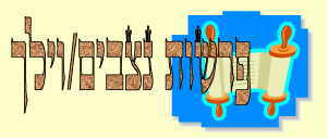 לקט דרשות לפרשות ניצבים וילך -