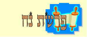 לקט דרשות לפרשת נח -