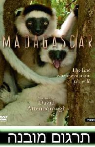 מדגסקר - פרק 2  - 