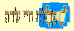 לקט דרשות לפרשת חיי שרה -