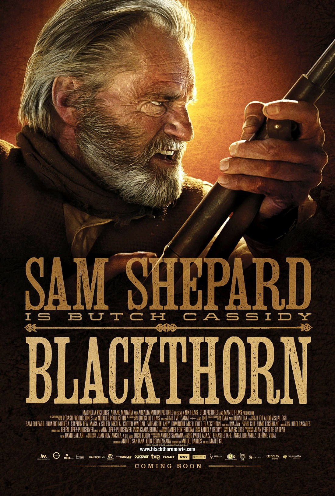 בלאקת'ורןBlackthorn  [2011] BDRip