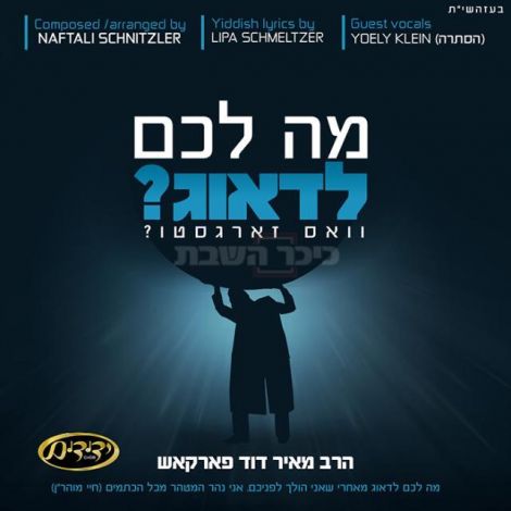 מאיר דוד פארקאש - מה לכם לדאוג - 