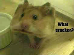 נפלאות הבריאה למה קוראים לאוגר... אוגר... - 