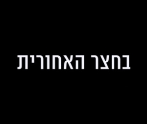 בחצר האחורית (2016) - 