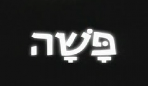 פשה עונה 1 פרק 1